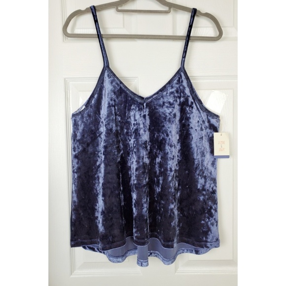 Jasmine & Ginger Tops - NWT jasmine & ginger  blue velvet tank top